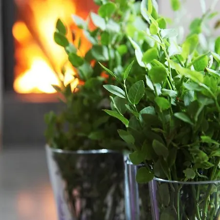 Halla Nature & Design Villas Anttola